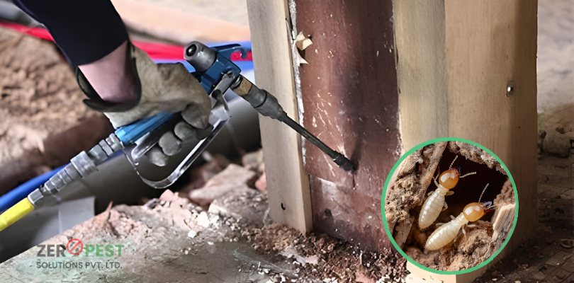 anti-termite-control