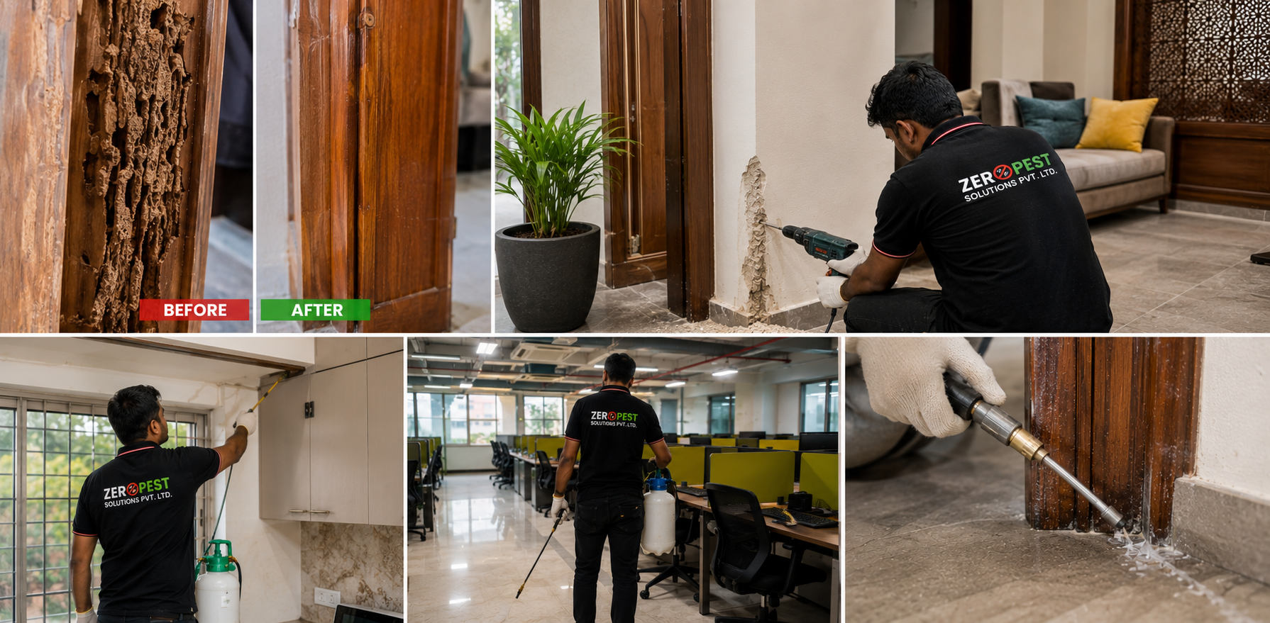 Before after termite treatment Delhi NCR