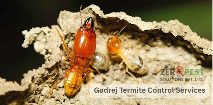 godrej-termite-control