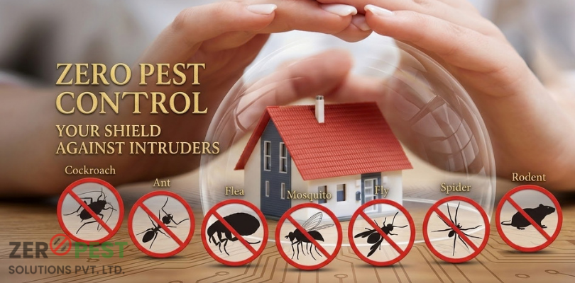 residential-pest-control