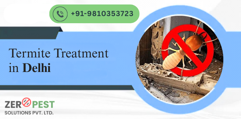 termite-treatment-in-delhi