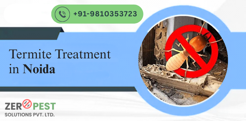 termite-treatment-in-noida